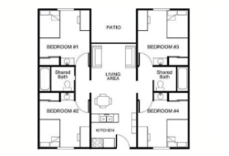 Detailed Design